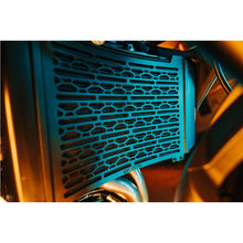 Load image into Gallery viewer, RADIATOR GUARD BLACK
